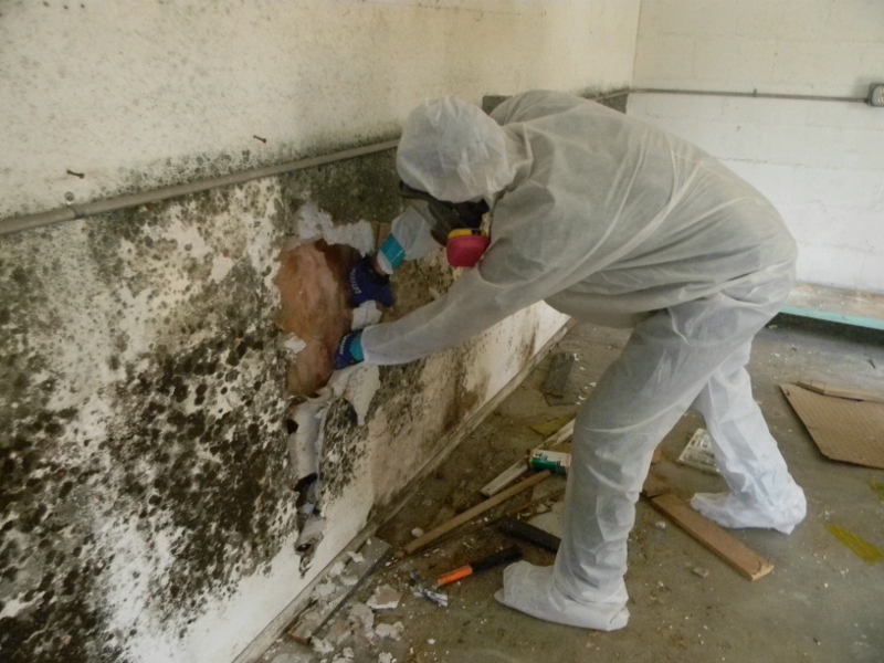 Water Damage Saratoga Springs Ny