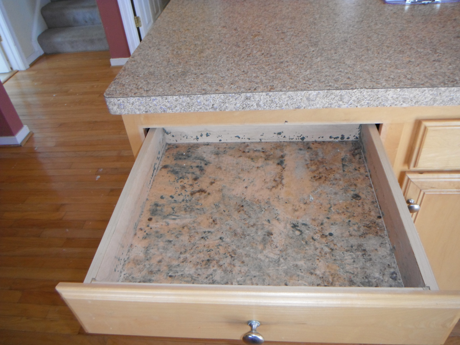 Visible Mold Is Only The Beginning, Mold In Kitchen Cabinets Pictures