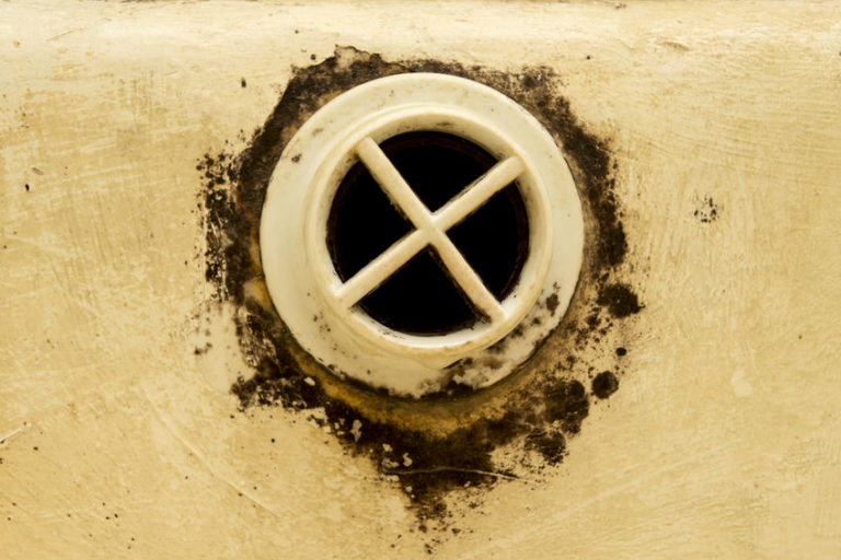 5 Signs that You Have Mold Growing in Your Sink Drain