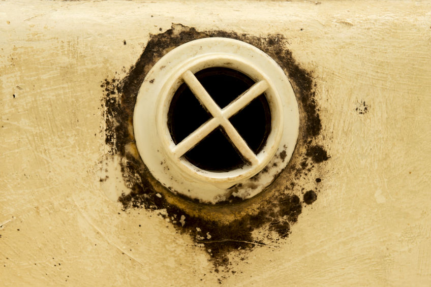 5 Signs That You Have Mold Growing In Your Sink Drain - Black Mold Under Bathroom Vanity