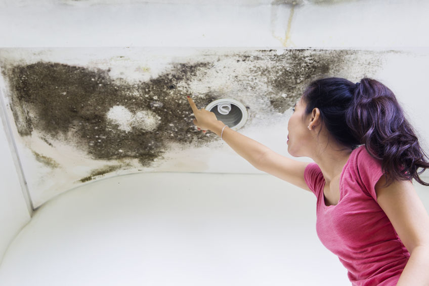 Can Toxic Mold Make You Sick