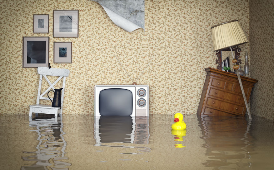 Does Homeowners Insurance Cover Mold Testing 