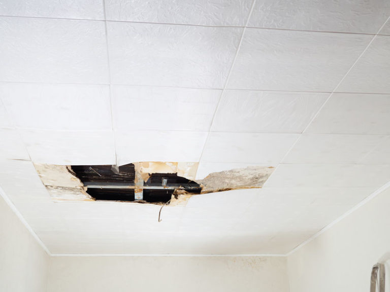 Is Drywall Mold Dangerous?