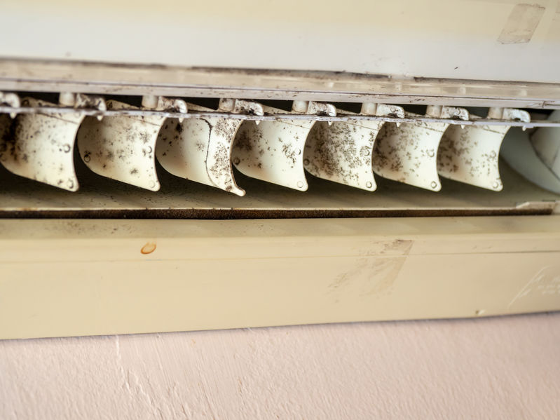 close up mold in air conditioner system.