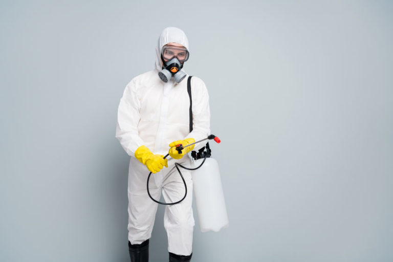 How to Find a Mold Doctor