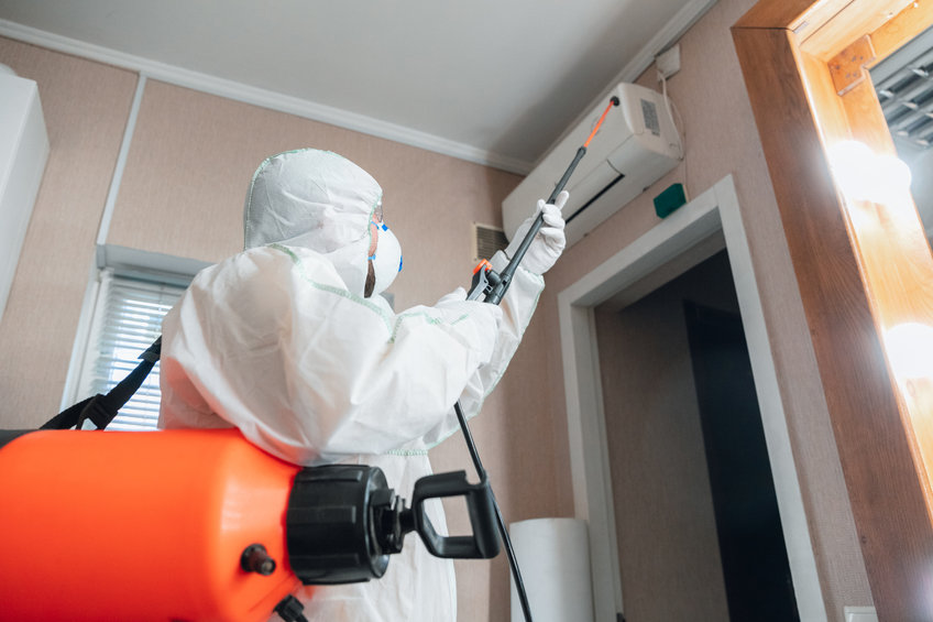 fogging and mold remediation
