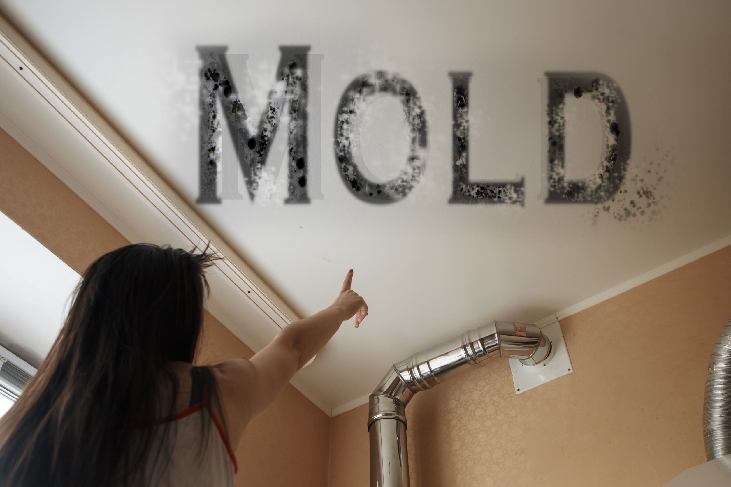 What Does Mold Do To Your Brain 